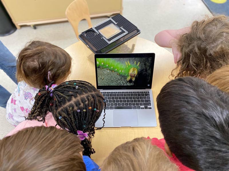 Overhead view of students watching video of caterpillar on laptop