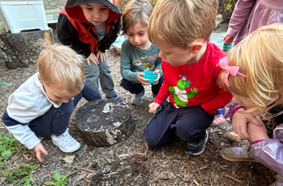 Concord Hill School students looking at bugs on a turned over log